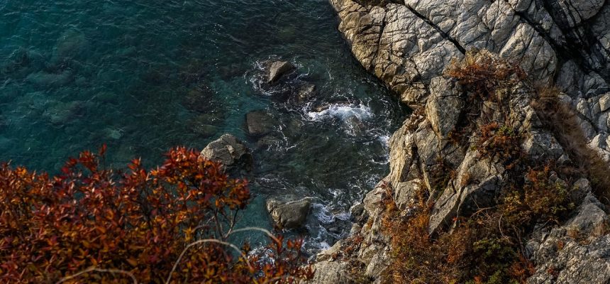 夏色四叶草游戏世界观全景图，滨海高中校园俯瞰视角，蓝天白云与四叶草装饰元素交织，清新夏日氛围浓郁