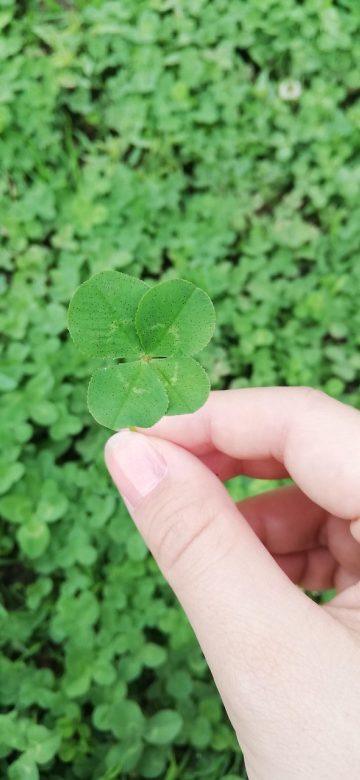 夏色四叶草 App 进阶技巧列表，条目按难度用不同色块标注，浅色表示入门、深砖红表示高阶