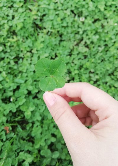 夏色四叶草 App 进阶技巧详情页，正文按小节分层排版，段落之间用细线分隔，阅读区域留白充足